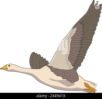 Ein fliegender Vogel mit weit geöffneten Flügeln Stock Vektor