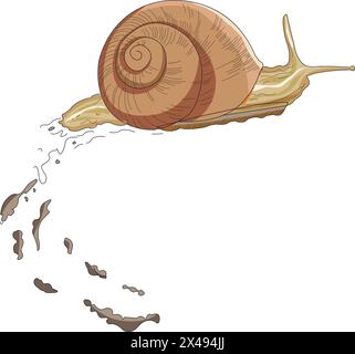 Eine Schnecke, die sich langsam bewegt Stock Vektor