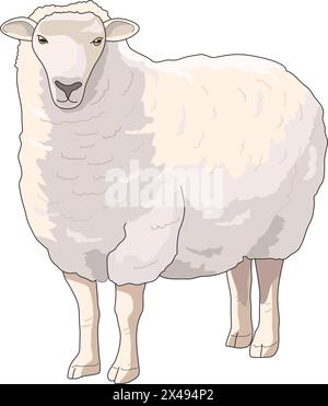 Niedliches Bauernhoftier und Schafe Stock Vektor