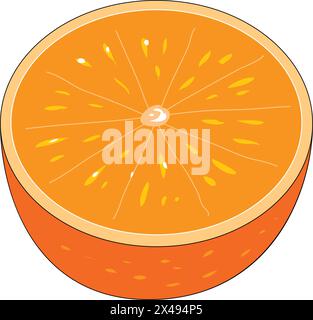 Eine Orange, die in zwei Hälften geschnitten wurde Stock Vektor