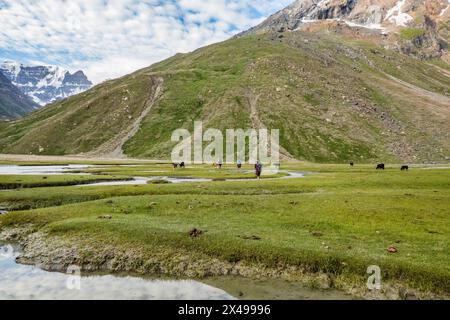 Wunderschöne Landschaften rund um Denora, Warwan Valley, PIR Panjal Range, Kaschmir, Indien Stockfoto