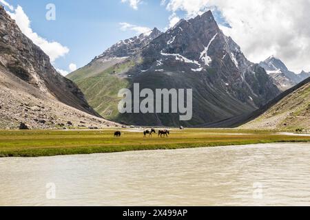 Wunderschöne Landschaften rund um Denora, Warwan Valley, PIR Panjal Range, Kaschmir, Indien Stockfoto