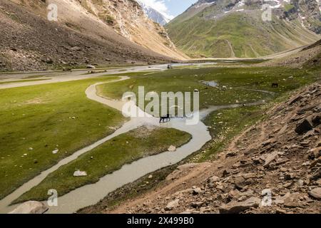 Wunderschöne Landschaften rund um Denora, Warwan Valley, PIR Panjal Range, Kaschmir, Indien Stockfoto