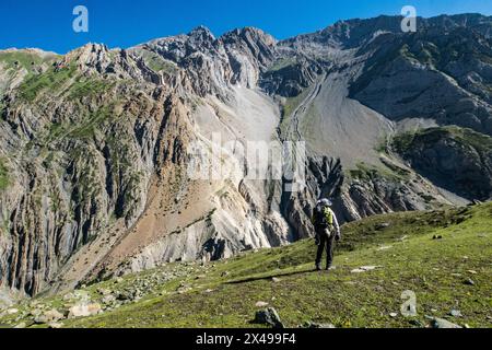 Ziegenherde im Warwan Valley, Kaschmir, Indien Stockfoto