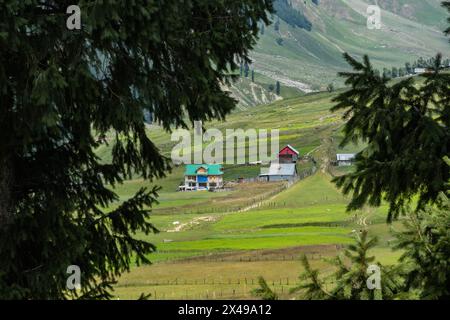 Atemberaubende Landschaften rund um das Dorf Sukhnai, Warwan Valley, Kaschmir, Indien Stockfoto