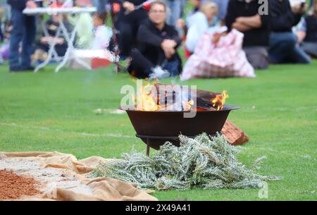 Rituelles Feuer mit grünem Eukalyptuszweig, Rauch und Feuer, der Ritualzug bei einer indigenen Gemeinde in Australien Stockfoto