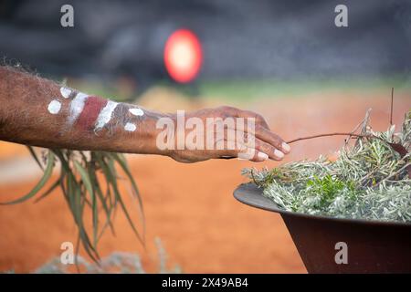 Menschliche Hand mit grünem Eukalyptuszweig für das Rauchritual bei einer indigenen Gemeindeveranstaltung in Australien Stockfoto