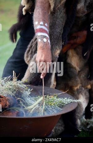 Menschliche Hand mit grünem Eukalyptuszweig für das Rauchritual bei einer indigenen Gemeindeveranstaltung in Australien Stockfoto