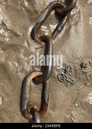 Nahaufnahme von vergrabenen Ankerketten im Schlammsand, Fischindustrie, Bootfahren, Freizeit, Konzeptkunst, die Ketten, die sich binden, Fesseln, Sklaverei, brechen frei Stockfoto