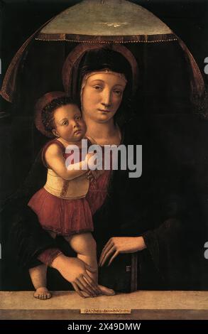 BELLINI, Giovanni (* ca. 1426, Venezia, d. 1516, Venezia) Madonna mit Kind 1450-55 Tempera auf Holz, 47 x 31,5 cm Civico Museo Malaspina, Pavia die Serie der Gemälde „Madonna und Kind“, die eines der markantesten Themen in Bellinis Kunst sind, wurde in seinen jungen Jahren begonnen. Ihre Ausführung und Vermehrung in den kommenden Jahrzehnten war das Ergebnis eines erheblichen Beitrags der vielbeschäftigten Werkstatt, die mit dem Maler zusammenarbeiten sollte, und dem einige der Madonnen, die aus Prestigegründen mit dem Namen des Meisters unterzeichnet wurden, zumindest teilweise zugeschrieben werden müssen. Th Stockfoto