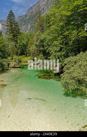 Fluss Sava Bohinjka, Nationalpark Triglav, Slowenien Stockfoto