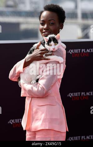 Lupita Nyongo mit Katze Schnitzel beim Photocall zum Kinofilm Ein ruhiger Ort: Tag Eins auf dem IET Building. London, 01.05.2024 *** Lupita Nyongo mit Schnitzel die Katze beim Fotogespräch zum Film A Quiet Place Day One A Quiet Place Day One A Quiet Place Day One im IET Building London, 01 05 2024 Foto:XS.xVasx/xFuturexImagex Quiet 4437 Stockfoto