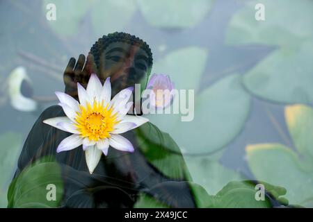 Eine Doppelbelichtung in der Kamera erfasst das Bild des Buddha mit einer blühenden Lotuspflanze. Stockfoto