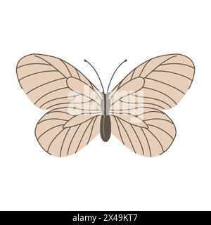 Weißdorn Schmetterling auf weißem Hintergrund Stock Vektor
