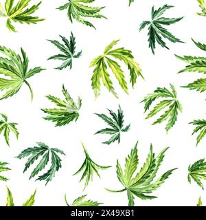 Cannabisblätter. Hand gezeichnetes nahtloses Aquarellmuster isoliert auf weißem Hintergrund Stockfoto