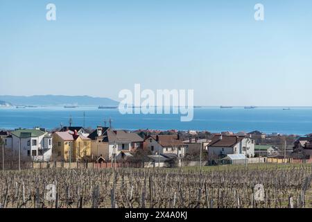 Weinreihen im frühen Frühjahr vor dem Hintergrund des Meeres und der Schiffe. Stockfoto