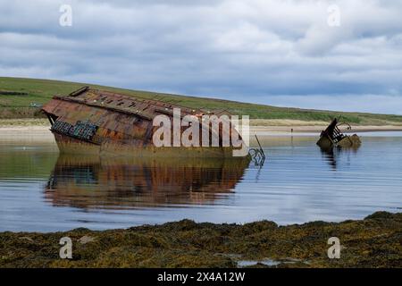 Wrack der SS Reginald, ein Dampfschiff, das 1878 in Govan gebaut wurde und schließlich Orkney als Blockschiff einsaugte, um den östlichen Zugang zum Scapa Flow zu schützen Stockfoto