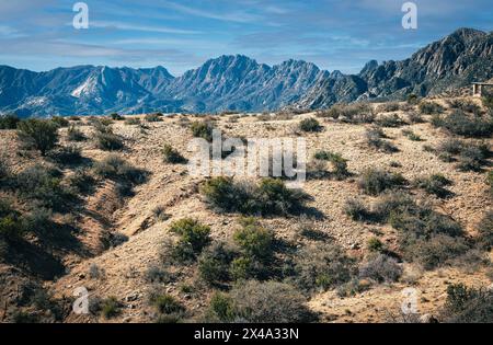 Baylor Peak, Organ Needle im Organ Mountains Desert Peaks National Park in der Nähe von Alamogordo, NM, USA Stockfoto