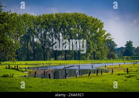 Bislicher Insel, Naturschutzgebiet am Niederrhein bei Xanten, gebildet aus altem Rheinarm, Kies- und Steinbruchteichen, großer Artenvielfalt und naturnaher Natur Stockfoto