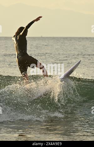 Der Tanz des Surfens eines Surfers auf einer goldenen Welle bei Sonnenuntergang unter dem warmen Glanz der untergehenden Sonne Stockfoto