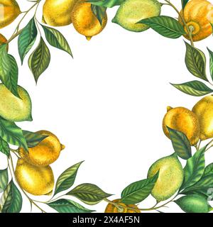 Aquarellrahmen mit Zitronenrahmen, Rand mit vollem Zitronenzweig mit Blättern, Limette und gelber Zitrone. Handgemalte Früchte isoliert auf weißem Hintergrund. F Stockfoto