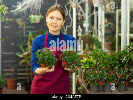 Eine Verkäuferin mit Wintergrün im Blumenladen Stockfoto