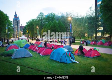 Manchester, Großbritannien. Mai 2024. Zelte werden außerhalb der University of Manchester errichtet. Studentenproteste und Campings finden auf nationaler Ebene in den Universitäten statt, um sich solidarisch über den Krieg in Gaza nach gewalttätigen Szenen auf Campus in den Vereinigten Staaten zu äußern. Andy Barton/Alamy Live News Stockfoto