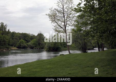 Fluss Krka in der Nähe der Burg von Otocec mit grünen Flussufer und Bäumen über dem Fluss mit Vögeln, Enten, Schwänen und Wanderwegen Stockfoto