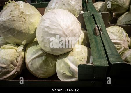 Dieses Bild wurde auf einem Belgrader Markt aufgenommen und zeigt eine Sammlung von frisch geerntetem Weißkohl, die zum Verkauf angeboten werden. Jeder Kohl mit seinem wig Stockfoto