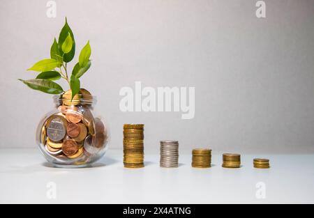 Finanzielle Entwicklungen und Geschäftswachstum mit einem wachsenden Baum auf einer Münze Stockfoto