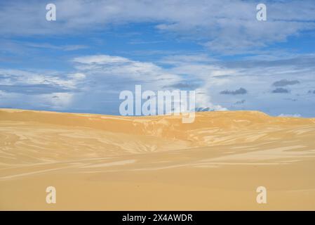 Große Sanddünen am Stockton Beach Stockfoto