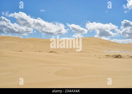 Große Sanddünen am Stockton Beach Stockfoto