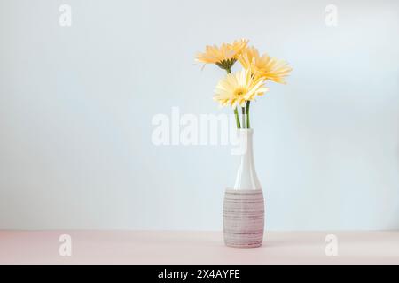 Gelbe Gerbera Gänseblümchen in Vase gegen weiße Wand. Kopierbereich. Stockfoto