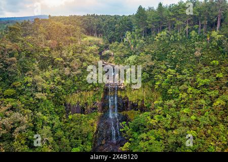 Die Alexandra fällt im Dschungel der Insel Mauritius. Alexandra Falls aus der Vogelperspektive im Black River Nationalpark auf der Paradise Island of Mauritius wi Stockfoto