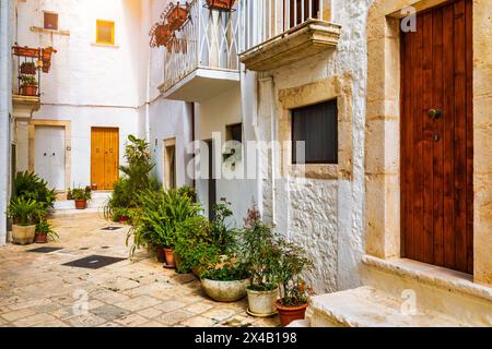 Malerische Sehenswürdigkeit in Locorotondo, Provinz Bari, Apulien (Apulien), Italien. Charakteristische Straßen im Locorotondo in Apulien, Italien. Locorotondo ist eine Stadt Stockfoto