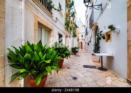 Malerische Sehenswürdigkeit in Locorotondo, Provinz Bari, Apulien (Apulien), Italien. Charakteristische Straßen im Locorotondo in Apulien, Italien. Locorotondo ist eine Stadt Stockfoto