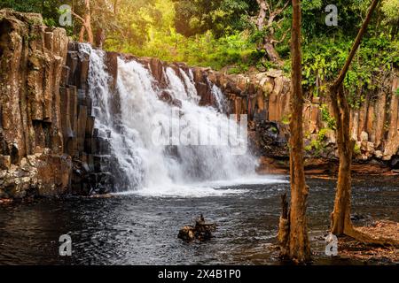 Rochester fällt auf die Insel Mauritius. Wasserfall im Dschungel der tropischen Insel Mauritius. Versteckter Schatz Rochester fällt auf Mauritius Stockfoto