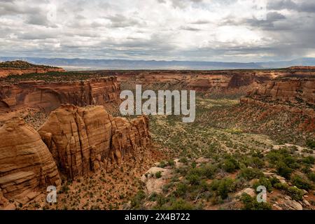 Mai 2024: Saftige Grüntöne aus Pinyon, wacholder und Salbei heben das satte Rot der tiefen Canyonwände im Colorado National Monument in Grand Junction, Colorado hervor. (Bild: © Larry Clouse/Csm/Cal Sport Media) Stockfoto