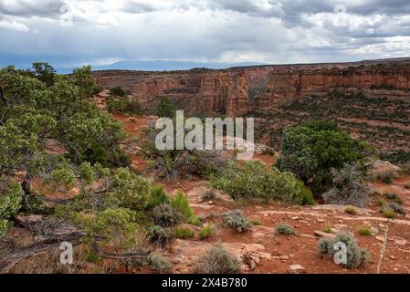 Mai 2024: Saftige Grüntöne aus Pinyon, wacholder und Salbei heben das satte Rot der tiefen Canyonwände im Colorado National Monument in Grand Junction, Colorado hervor. (Bild: © Larry Clouse/Csm/Cal Sport Media) Stockfoto