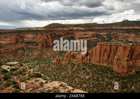 Mai 2024: Saftige Grüntöne aus Pinyon, wacholder und Salbei heben das satte Rot der tiefen Canyonwände im Colorado National Monument in Grand Junction, Colorado hervor. Stockfoto