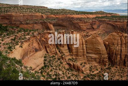 Mai 2024: Saftige Grüntöne aus Pinyon, wacholder und Salbei heben das satte Rot der tiefen Canyonwände im Colorado National Monument in Grand Junction, Colorado hervor. Stockfoto