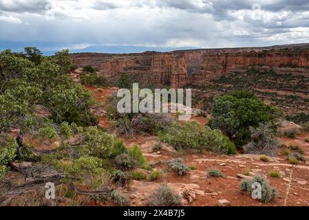 Mai 2024: Saftige Grüntöne aus Pinyon, wacholder und Salbei heben das satte Rot der tiefen Canyonwände im Colorado National Monument in Grand Junction, Colorado hervor. Stockfoto