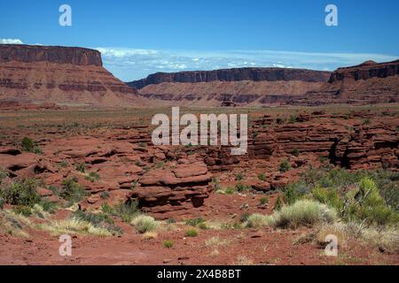 Moab, Utah, USA. Mai 2024. Satte natürliche Farben ergänzen das tiefe Rot von Castle Velley in dramatischer Hochwüsten- und Canyonlandschaft in der Nähe von Moab, Utah. Quelle: csm/Alamy Live News Stockfoto