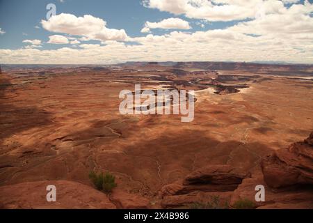 Weitläufige Aussicht vom Green River Overlook im Canyonlands National Park (Island in the Sky District), Utah Stockfoto