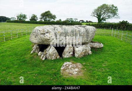 Lligwy prähistorische megalithische Grabkammer. Anglesey, Wales. Spätneolithisches 2500 bis 2000 v. Chr. Deckstein ca. 28 Tonnen. Überreste von 15 bis 30 Personen Stockfoto