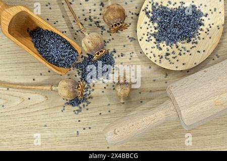 Holzlöffel gefüllt mit Mohnsamen und mehreren getrockneten Mohnschoten auf einem hellen Holztisch Stockfoto