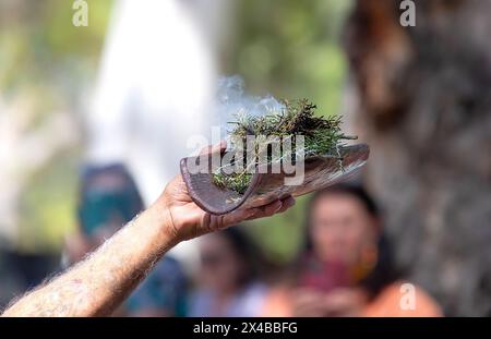 Ritualfeuer mit grünem Ast, Rauch und Feuer, das Ritualritual bei einer indigenen Gemeinde in Australien Stockfoto