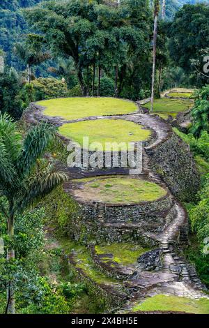 Versteckte antike Ruinen der Tayrona Zivilisation Ciudad Perdida im Herzen des kolumbianischen Dschungels verlorene Stadt Teyuna. Santa Marta, Sierra Nevada Mount Stockfoto