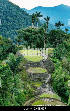 Versteckte antike Ruinen der Tayrona Zivilisation Ciudad Perdida im Herzen des kolumbianischen Dschungels verlorene Stadt Teyuna. Santa Marta, Sierra Nevada Mount Stockfoto