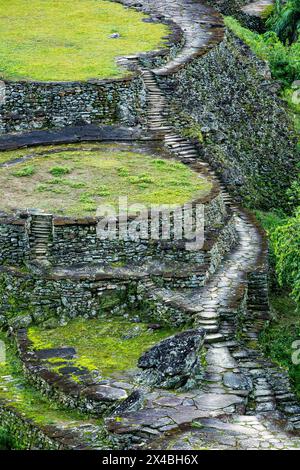 Versteckte antike Ruinen der Tayrona Zivilisation Ciudad Perdida im Herzen des kolumbianischen Dschungels verlorene Stadt Teyuna. Santa Marta, Sierra Nevada Mount Stockfoto